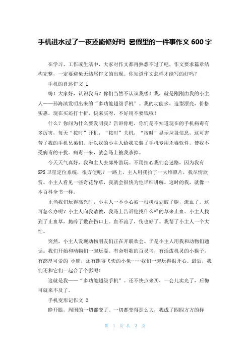 手机进水过了一夜还能修好吗 暑假里的一件事作文600字