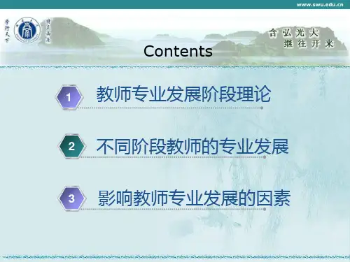 教师专业发展阶段理论
