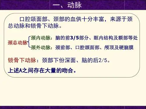 口腔和面部解剖学-头颈部血管-PPT课件