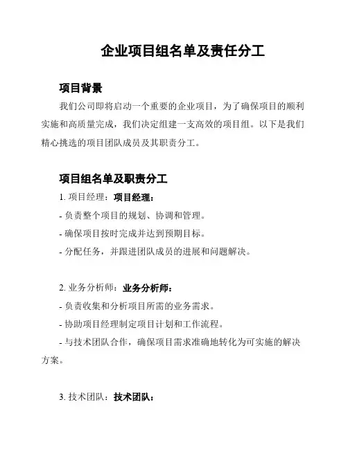 企业项目组名单及责任分工