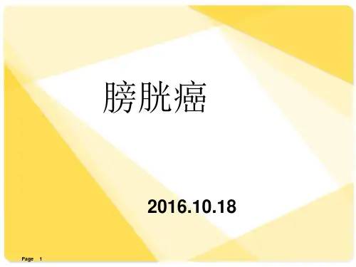 膀胱癌护理PPT课件