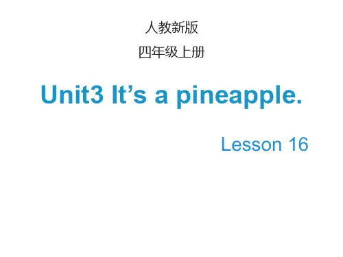 Unit 3 It’s a pineapple  Lesson 16课件人教精通版四年级上册英语