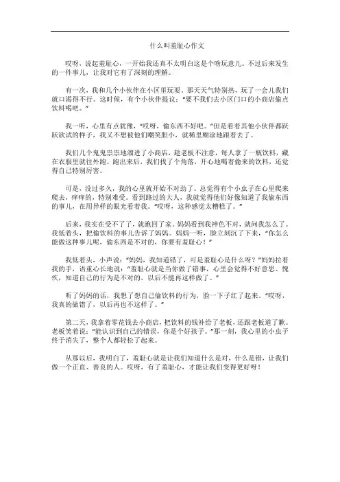 什么叫羞耻心作文