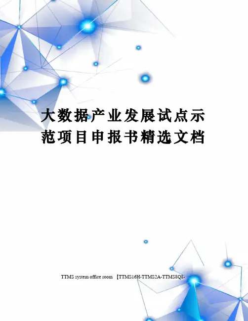 大数据产业发展试点示范项目申报书精选文档