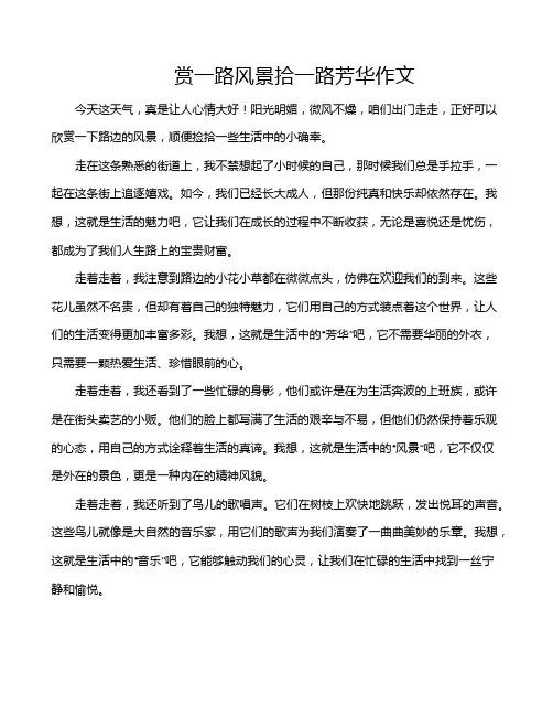 赏一路风景拾一路芳华作文