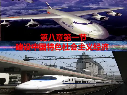 八社会主义初级阶段分配制度PPT课件