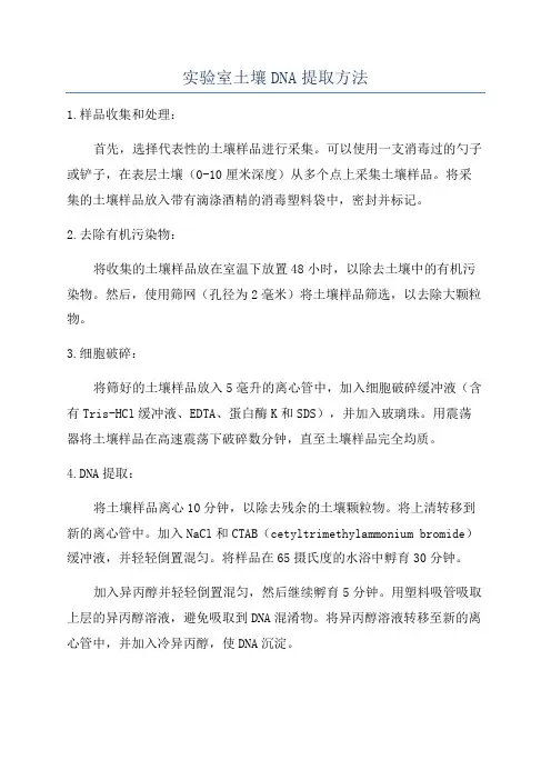 实验室土壤DNA提取方法