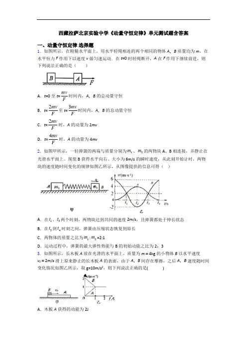 西藏拉萨北京实验中学《动量守恒定律》单元测试题含答案