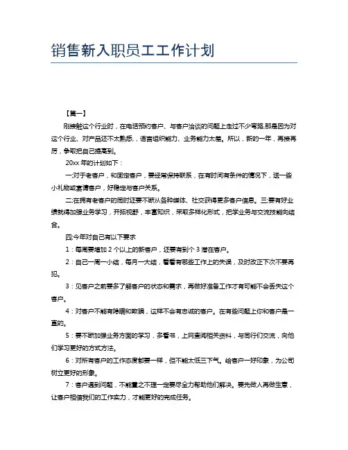 销售新入职员工工作计划