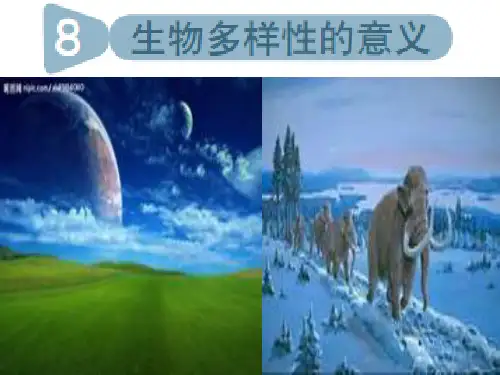 六年级上册科学课件 生物多样性的意义教科版 (共22页)PPT