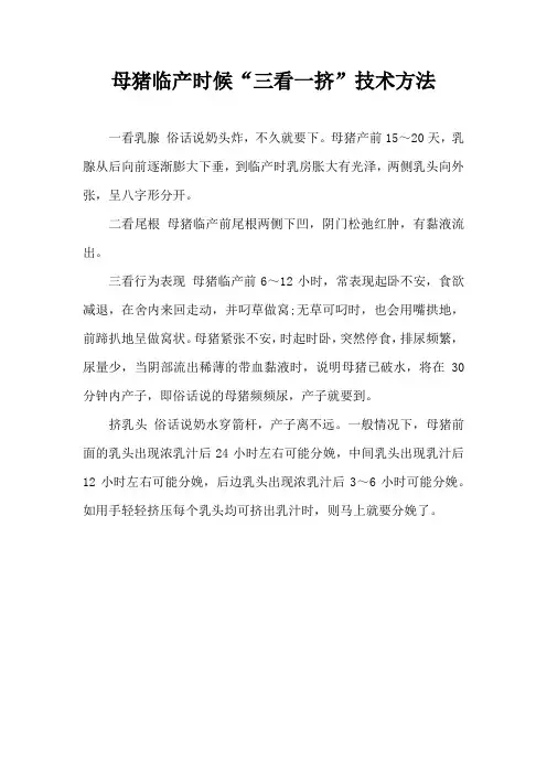 母猪临产时候三看一挤技术方法