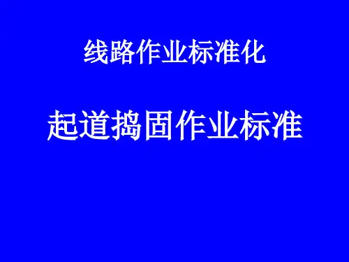 线路作业标准化 1-起道捣固