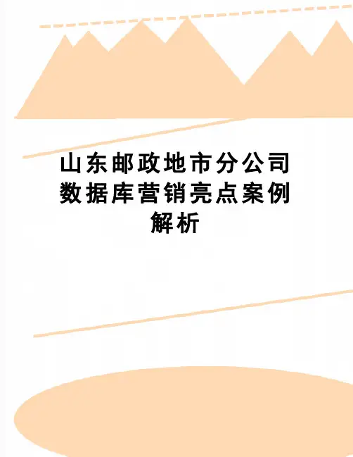 【精品】山东邮政地市分公司数据库营销亮点案例解析