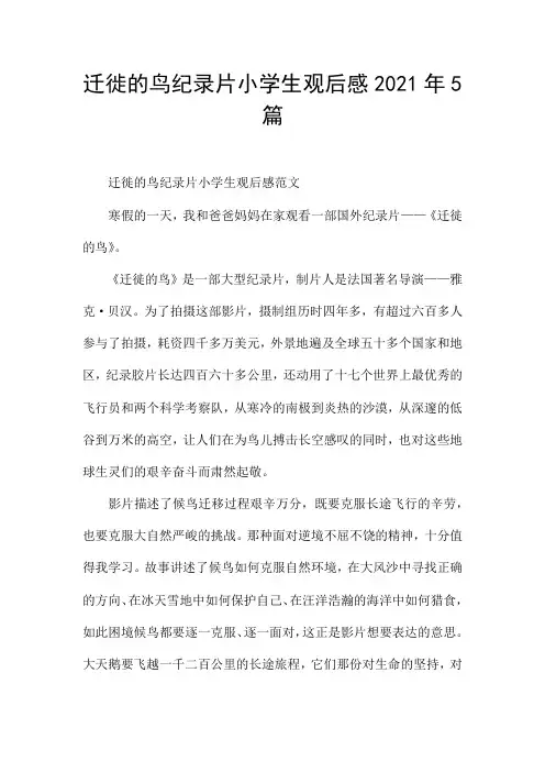 迁徙的鸟纪录片小学生观后感2021年5篇