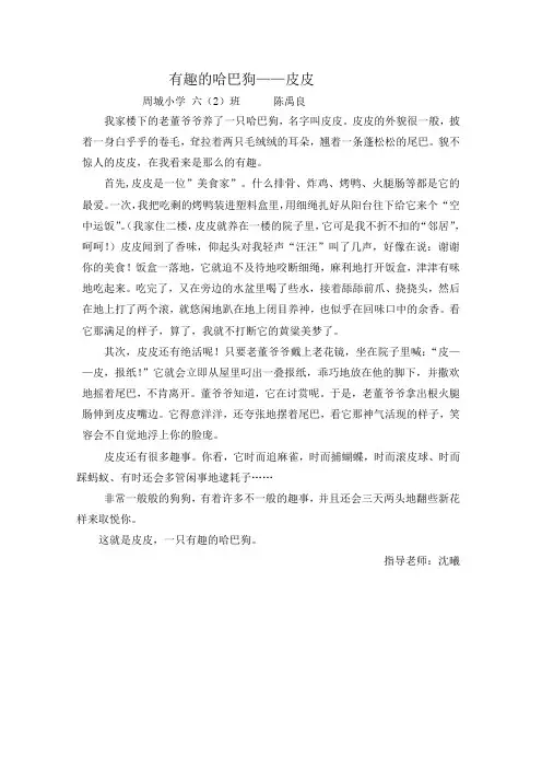 有趣的哈巴狗