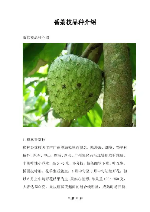 番荔枝品种介绍