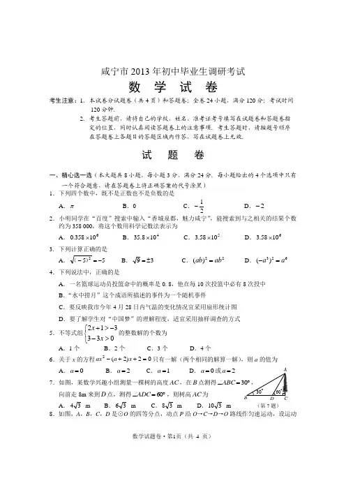 咸宁市2013年调考数学试题及答案