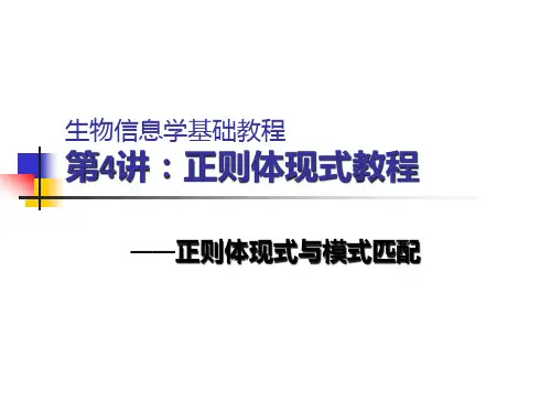 生物信息学基础教程4讲正则表达式教程市公开课获奖课件省名师示范课获奖课件
