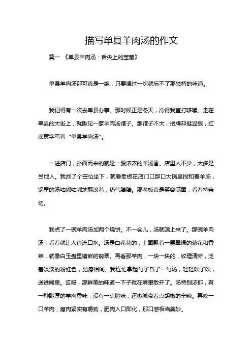 描写单县羊肉汤的作文
