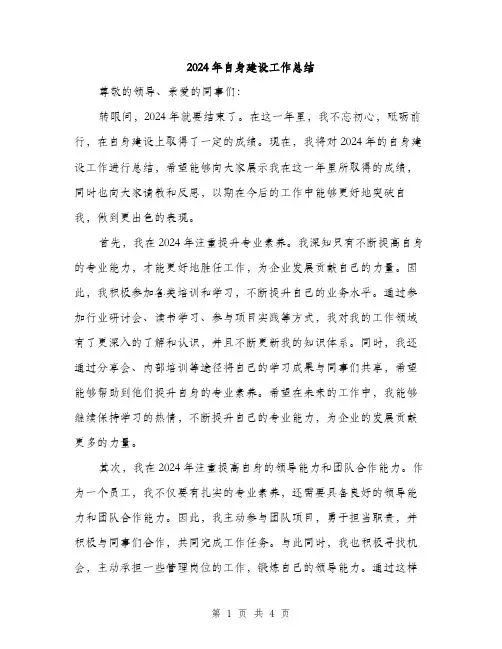 2024年自身建设工作总结(二篇)