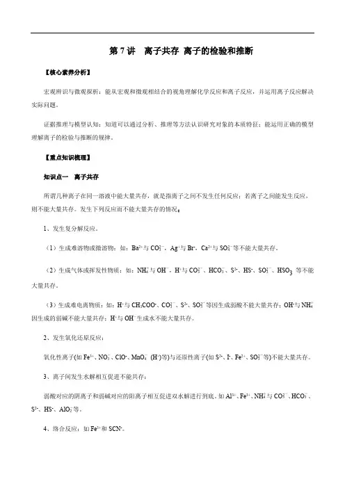高中化学第07讲 离子共存 离子的检验和推断(精讲)(原卷版)