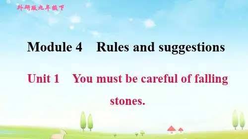 外研版九年级英语下册Module 4 Unit 1 You must be careful of falling stones【习题课件】