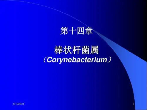 第14章棒状杆菌