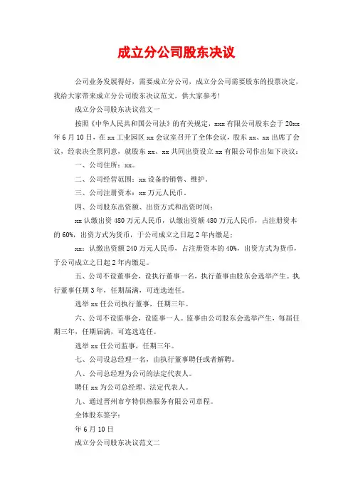 成立分公司股东决议