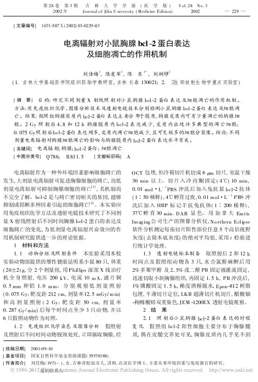 电离辐射对小鼠胸腺bcl_2蛋白表达及细胞凋亡的作用机制