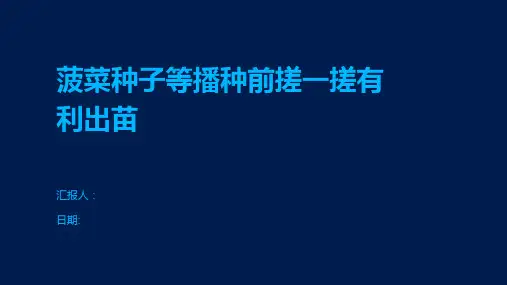 菠菜种子等播种前搓一搓有利出苗