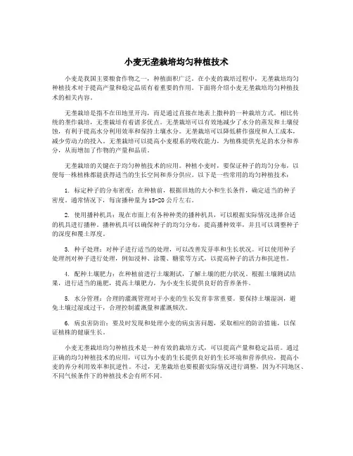 小麦无垄栽培均匀种植技术