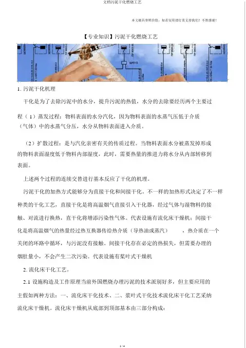 文档污泥干化焚烧工艺
