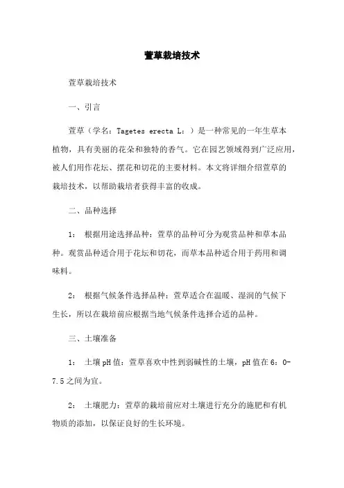 萱草栽培技术