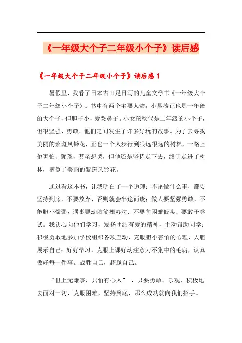 【多篇】《一年级大个子二年级小个子》读后感