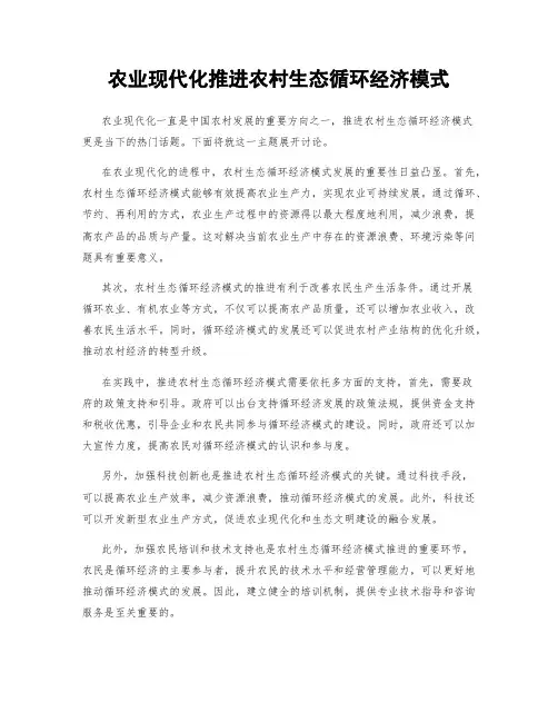农业现代化推进农村生态循环经济模式