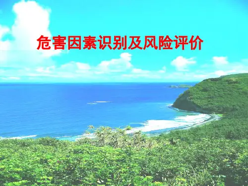 危害因素识别及风险评价.ppt
