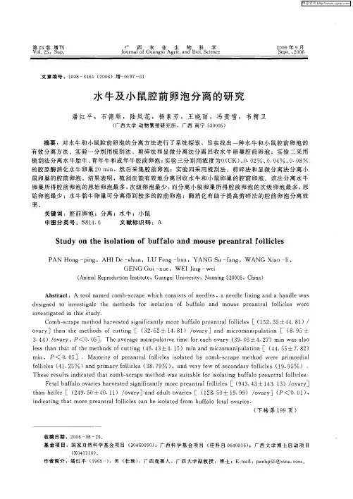 水牛及小鼠腔前卵泡分离的研究
