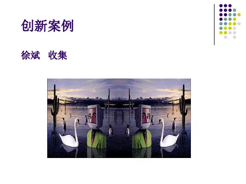 创新经典案例收集(ppt 38页)