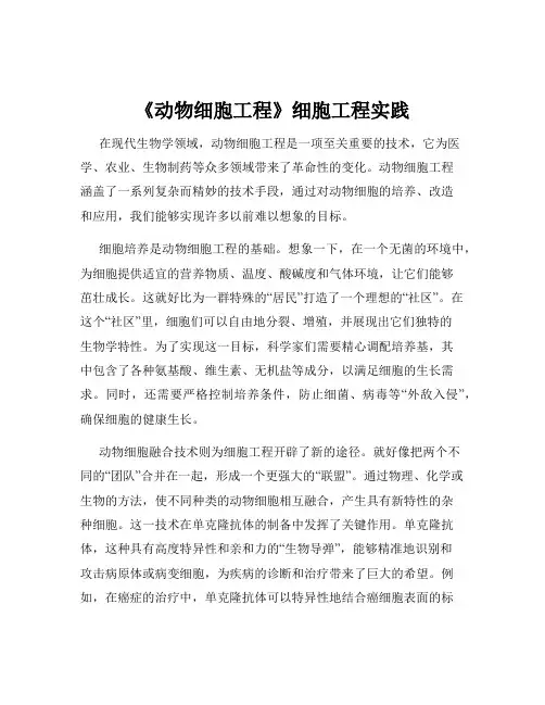 《动物细胞工程》细胞工程实践