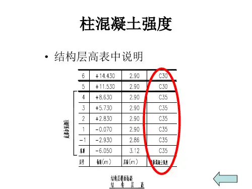 图解钢筋-柱配筋ppt课件