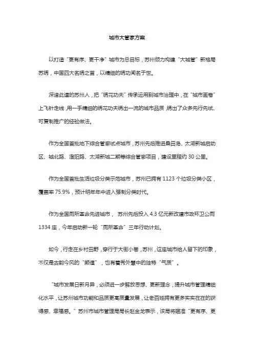 城市大管家方案