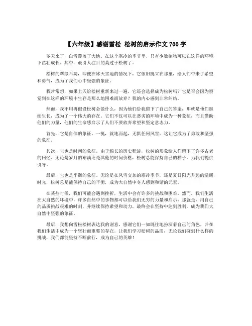 【六年级】感谢雪松 松树的启示作文700字