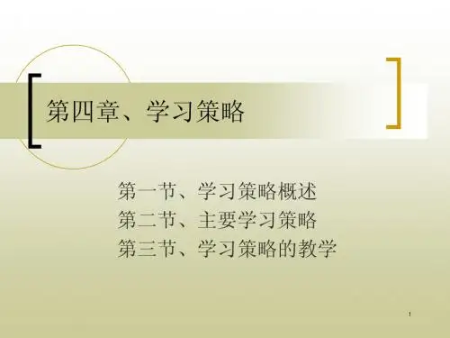 学习策略