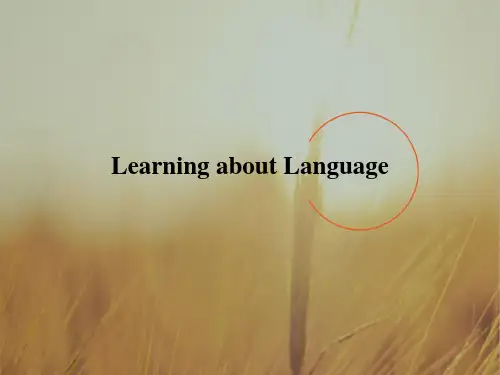 2018版高中英语必修二课件：Unit 3 Learning about Language 精品