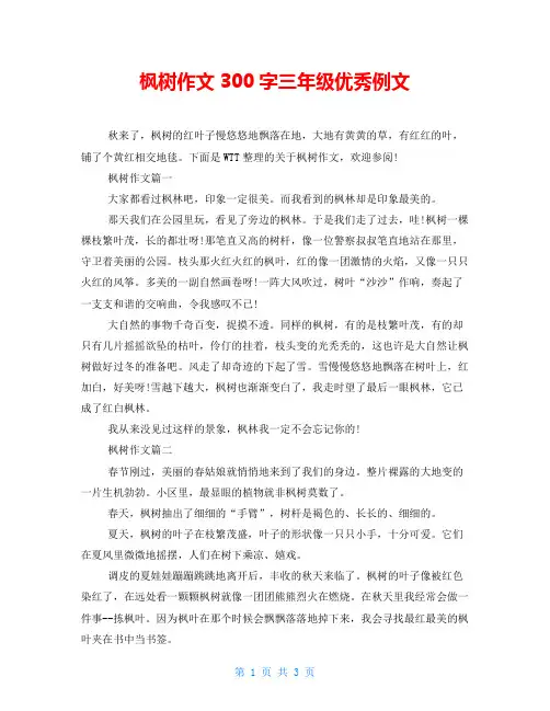 枫树作文300字三年级优秀例文