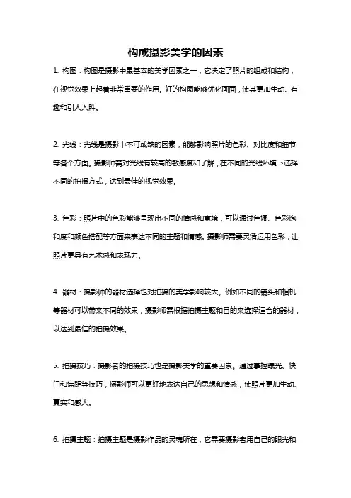 构成摄影美学的因素
