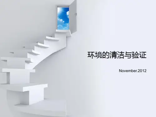 环境的清洁与验证