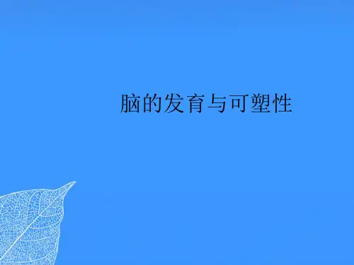 【正式版】脑的发育与可塑性PPT文档