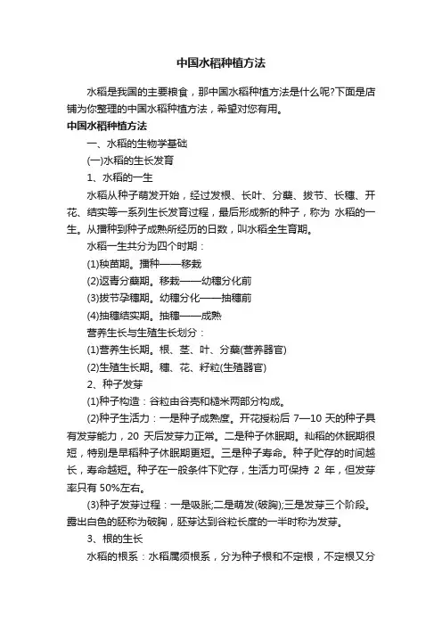中国水稻种植方法