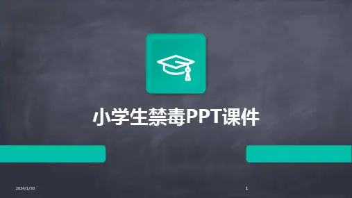 2024版小学生禁毒PPT课件